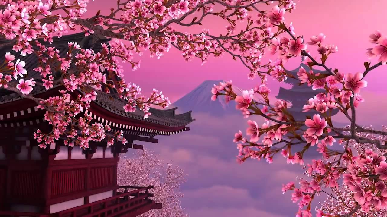 Hình ảnh hoa Anh Đào anime đẹp lãng mạn nên thơ