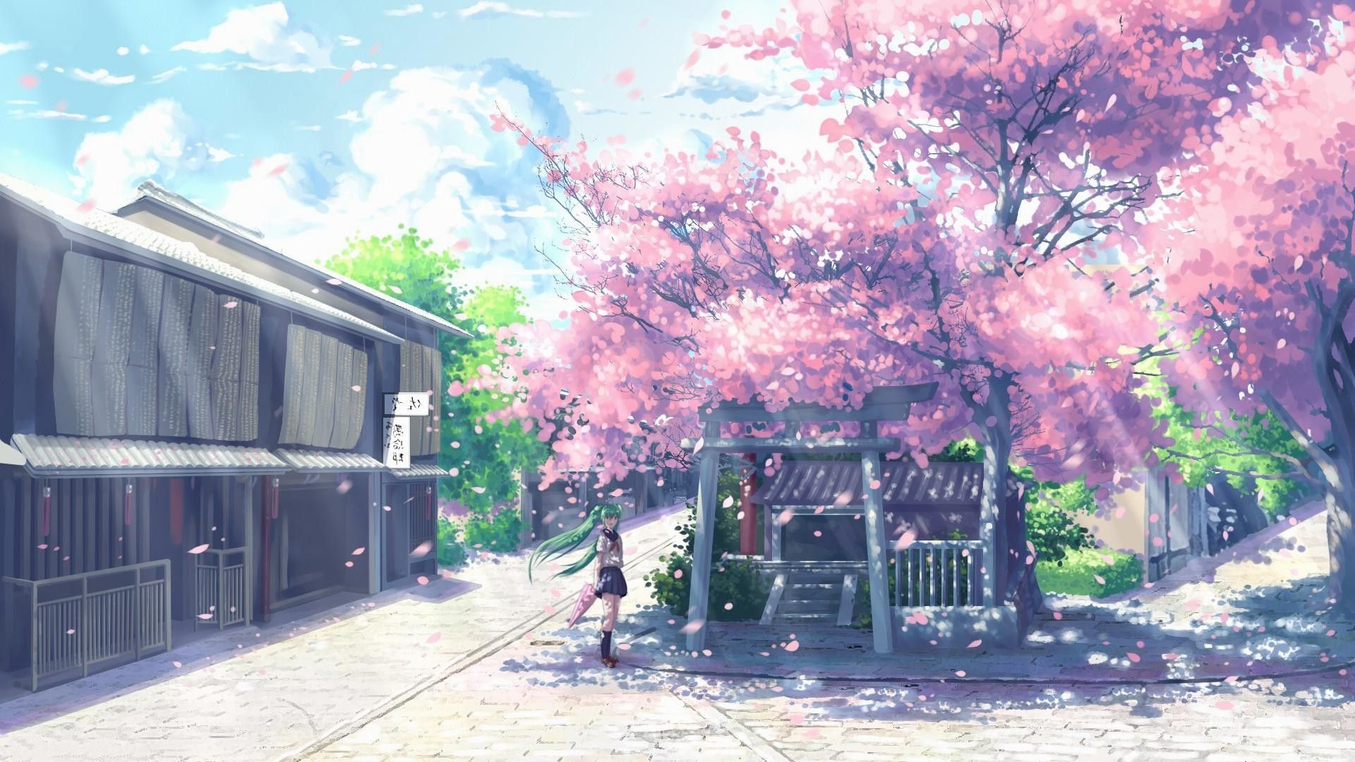 Anime Cherry Blossom Images