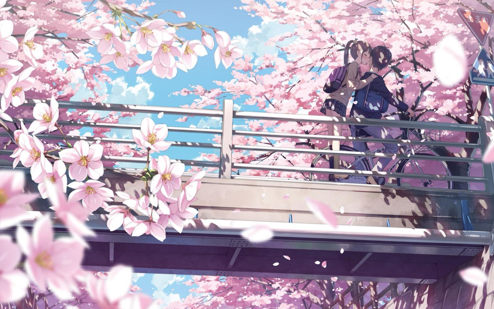 Anime hoa anh đào lãng mạn
