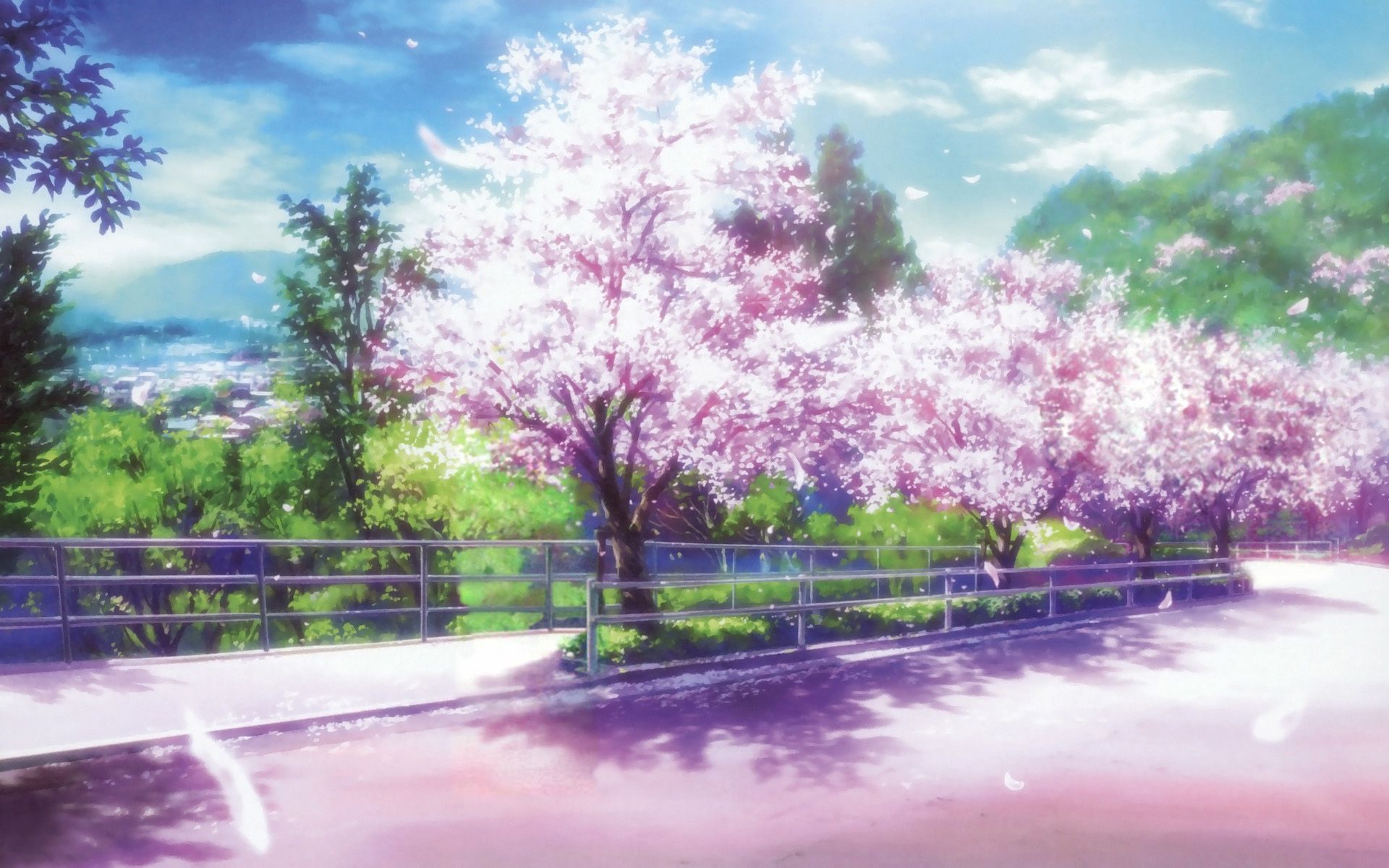 Cherry Blossoms Anime