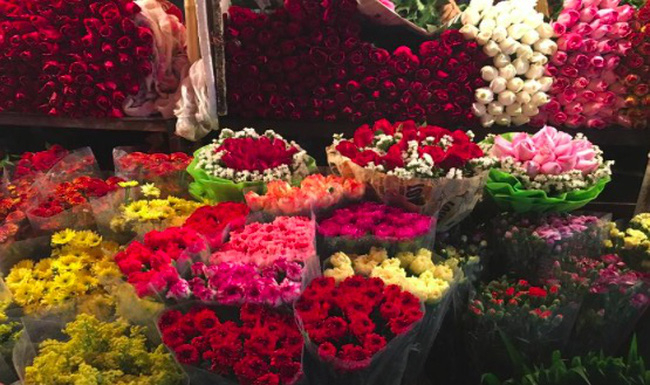 Chợ hoa đêm Quảng An