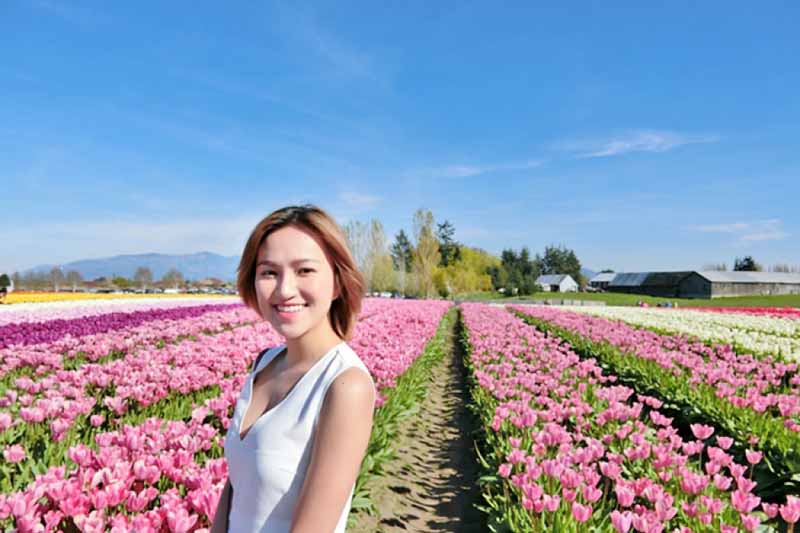 Cô gái hà lan giữa cánh đồng hoa Tulip