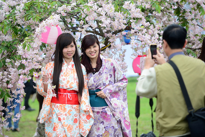Cô gái xinh đẹp với lễ hội hoa anh đào Nhật bản