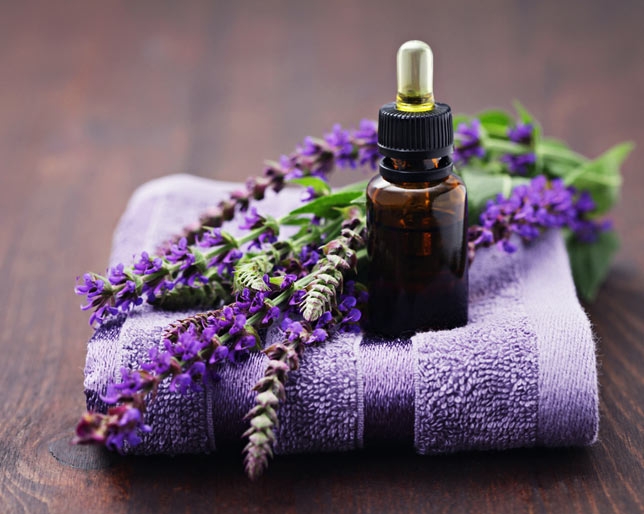 Lavender giúp thư giãn và có nhiều công dụng khác