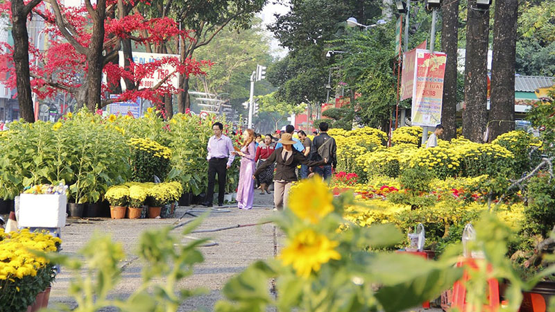 chợ hoa Sài Gòn ở Công viên Gia Định có sức chứa lên đến 800 gian hàng lớn nhỏ