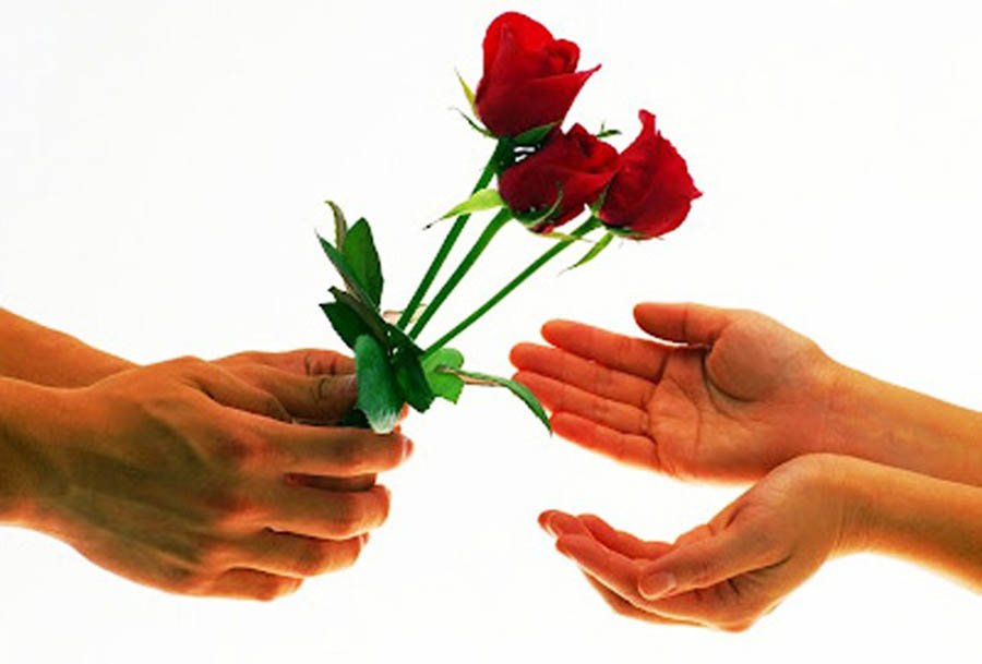 Hình ảnh bàn tay trao tặng yêu thương đến người thân yêu trong ngày 8-3 ý nghĩa