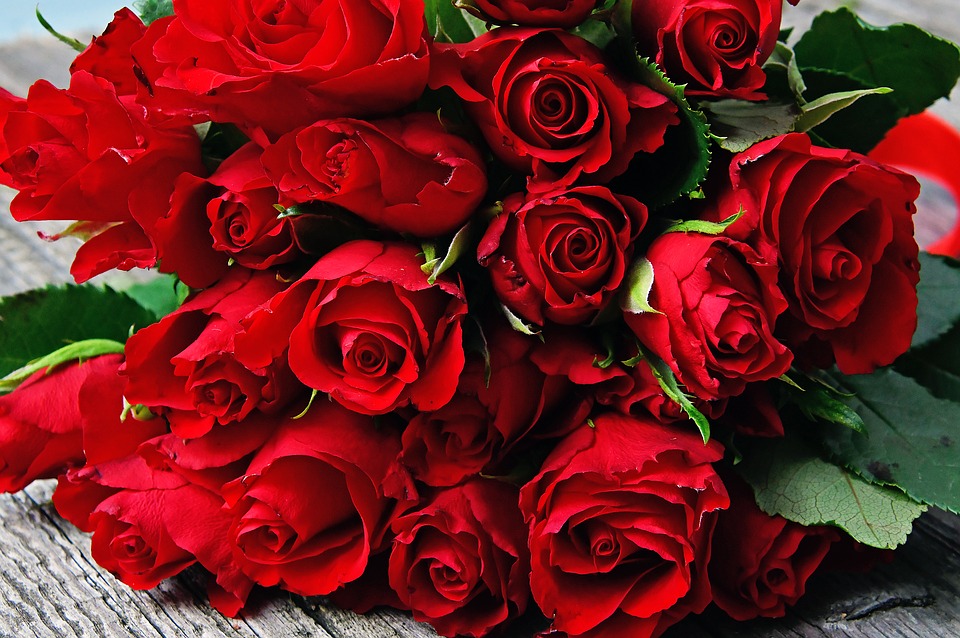 Hình ảnh đáo hoa hồng đẹp nhất