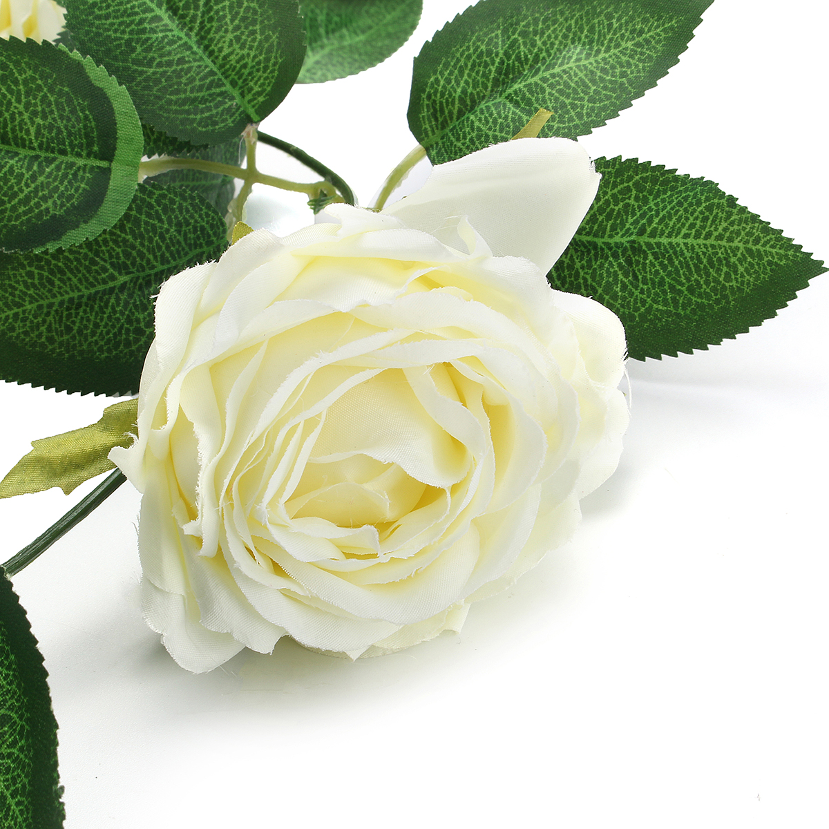Hình ảnh hoa hồng trắng cực đẹp