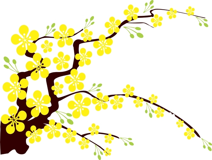 Vẽ hoa mai ngày tết  Cách vẽ hoa mai  Mai vàng đón tết  YouTube