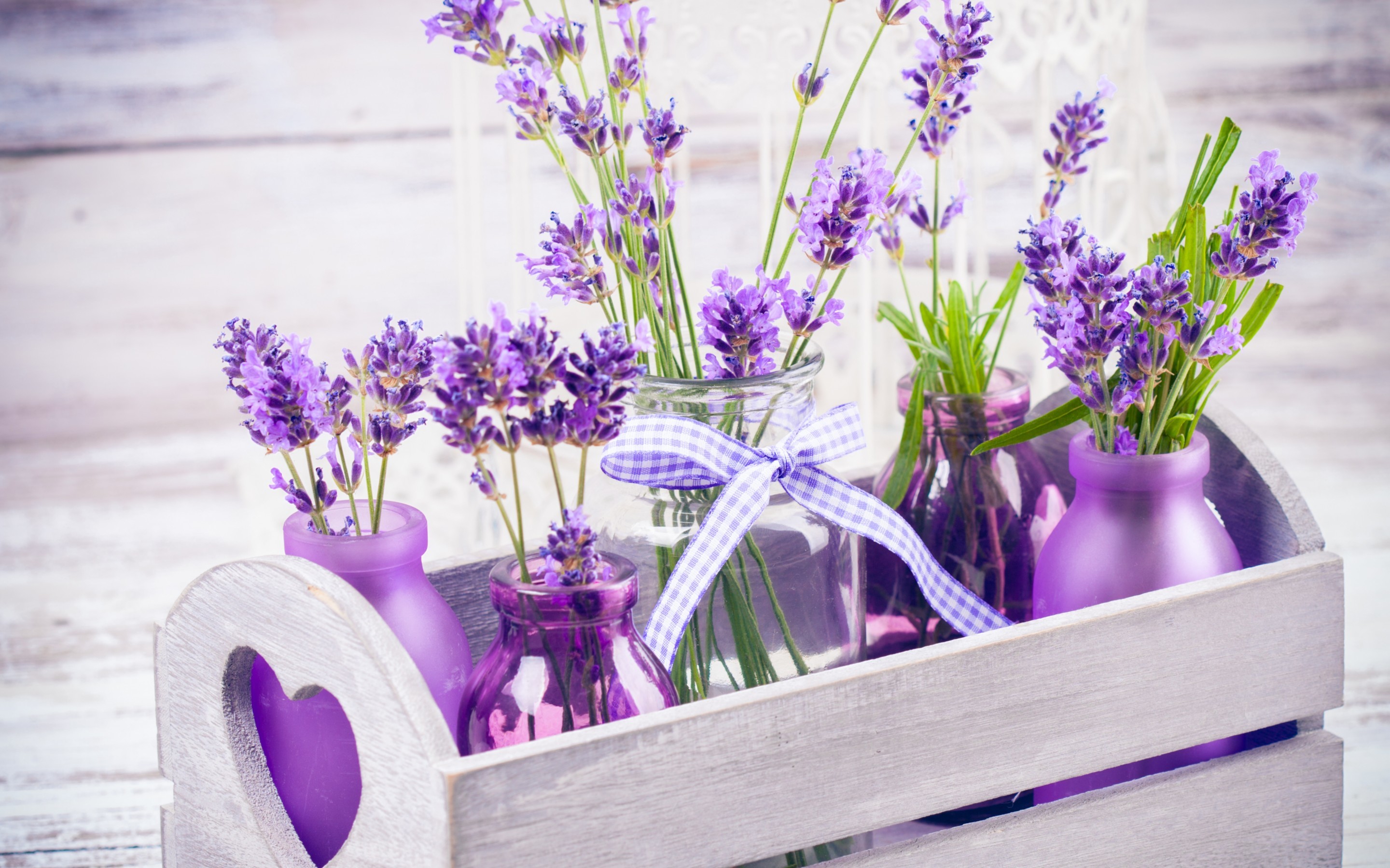 Lavender là loại hoa mang lại sự yên bình và thư giãn. Hình ảnh liên quan đến Lavender sẽ khiến cho người dùng tò mò và muốn tìm hiểu thêm về tính năng và công dụng của loại hoa này trong cuộc sống hàng ngày.