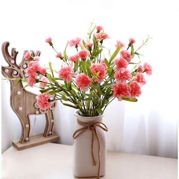 Hoa cẩm chướng tượng trưng cho tình yêu vĩnh cửu
