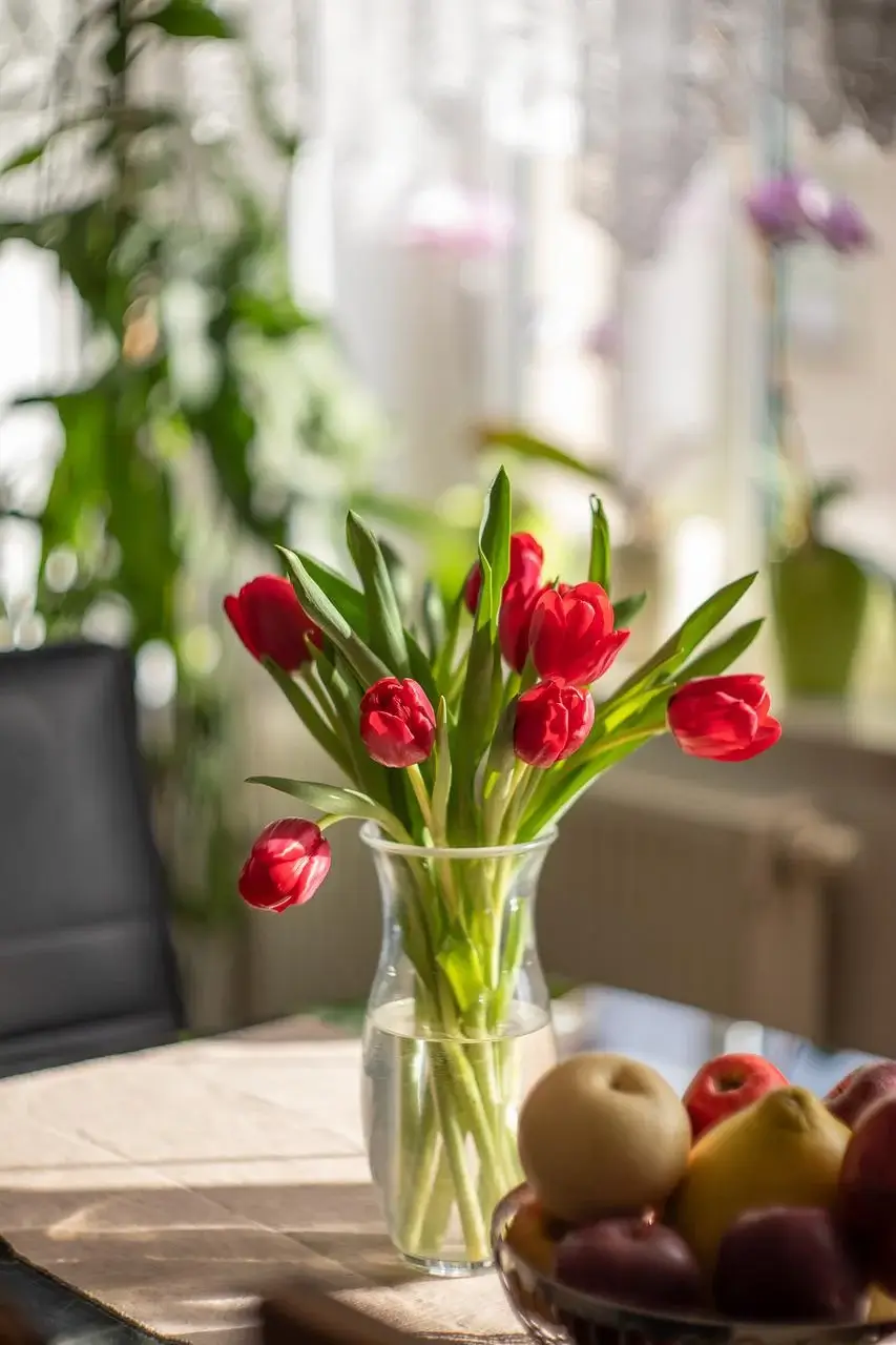 Cách cắm hoa tulip và chăm sóc hoa tulip đẹp trong 5 bước dễ dàng|Dienhoaxanh