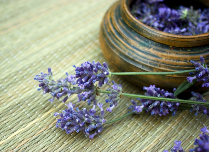 Bảo quản Lavender đúng cách để lưu giữ mùi thơm