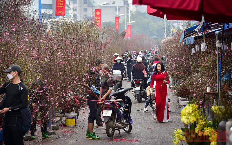 Top 18 Loài hoa mang lại may mắn và tài lộc cho gia chủ trong năm mới