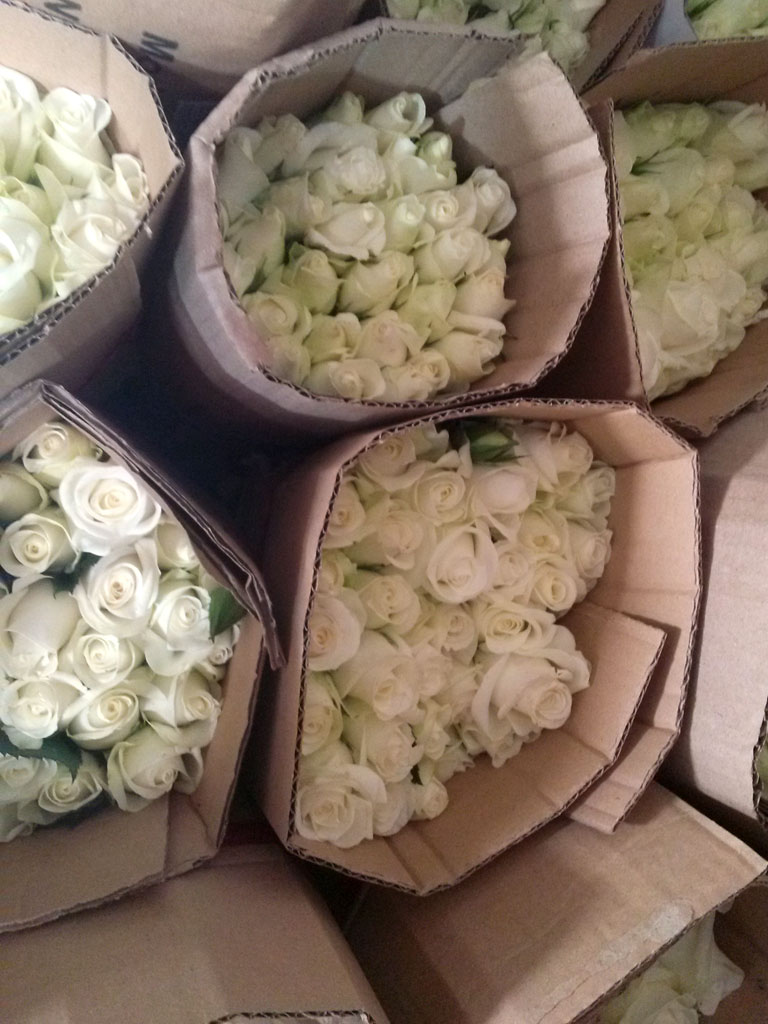 Những bó hoa hồng trắng được xếp sẵn chuẩn bị bán