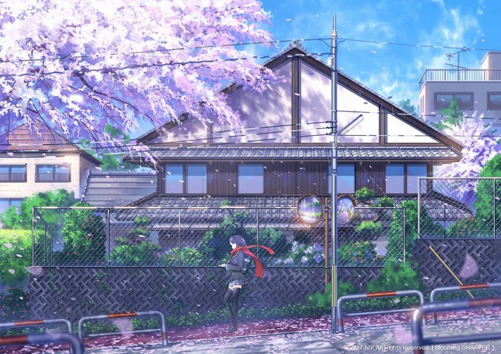 Phong cảnh hoa anh đào anime đẹp