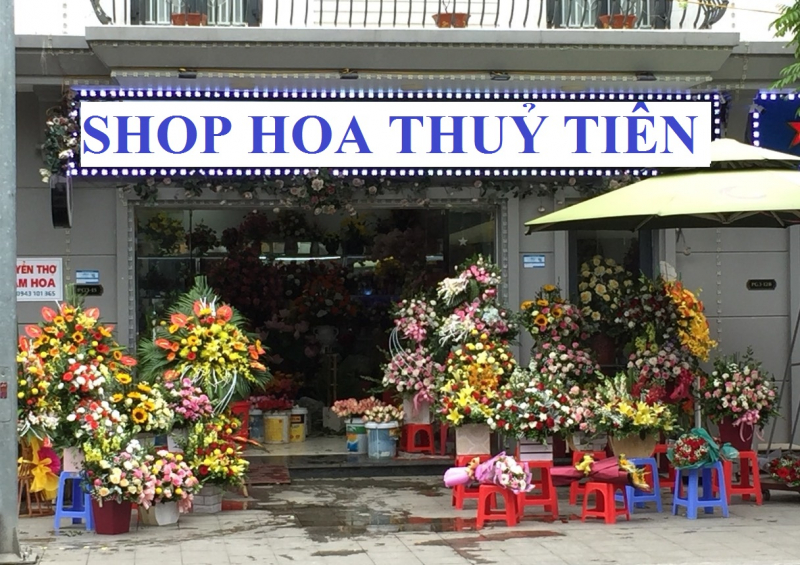 Shop hoa Thuỷ Tiên