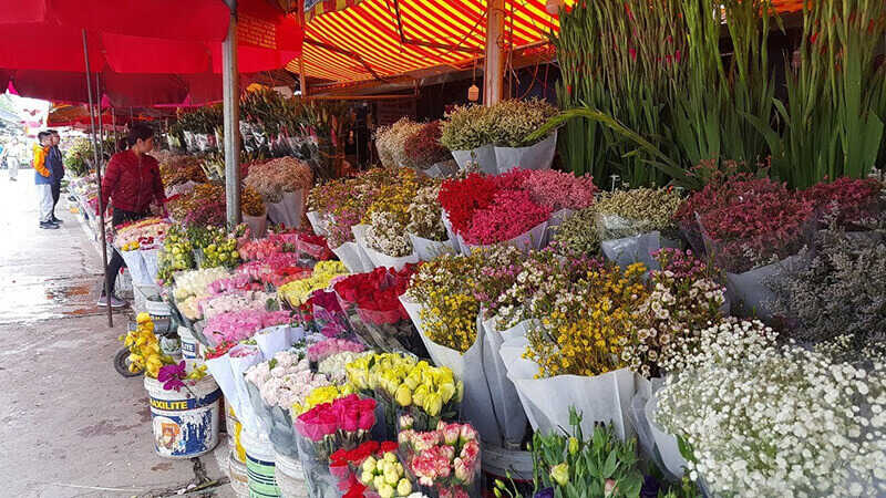 Chợ hoa Hậu Giang là một trong những chợ hoa nổi tiếng