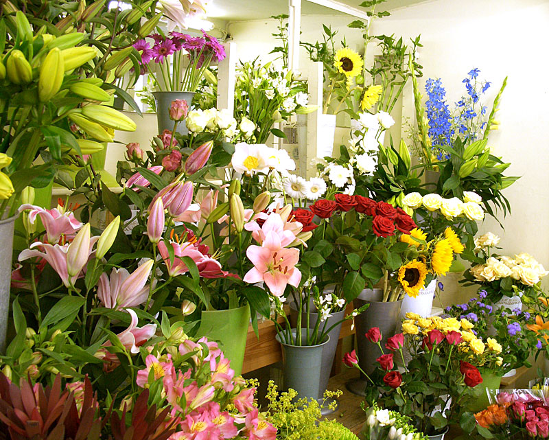 Tổng hợp cửa hàng bán hoa Ly đẹp nhất