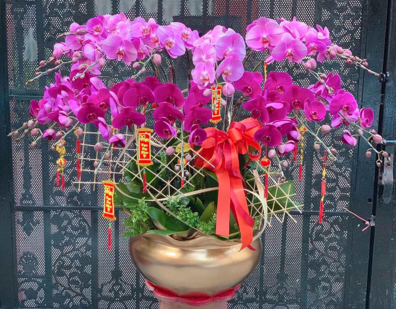 Trang Salavi Flowers