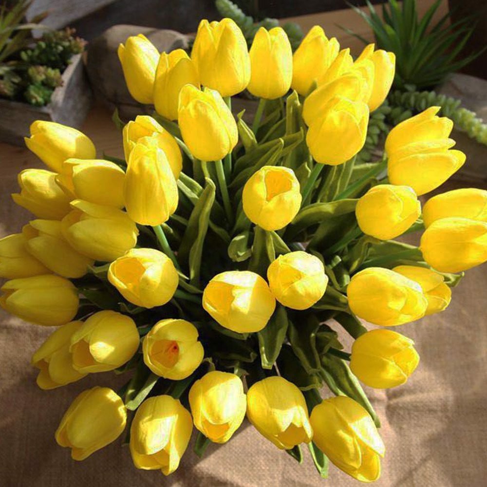 Hoa Tulip - Loài hoa đa sắc màu và ý nghĩa – dovumart